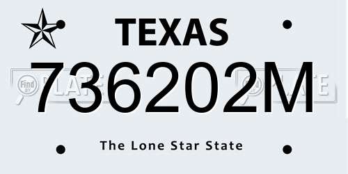 736202M Texas License Plate