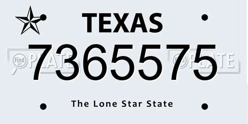 7365575 Texas License Plate