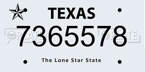 7365578 Texas License Plate
