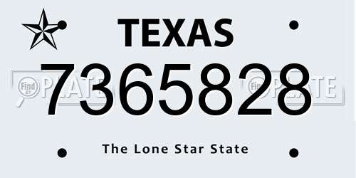 7365828 Texas License Plate