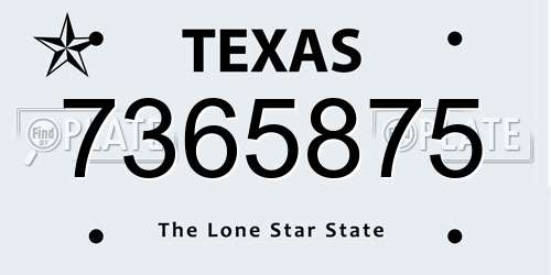 7365875 Texas License Plate