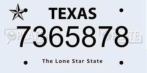 7365878 Texas License Plate