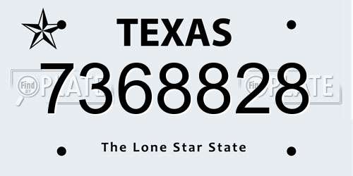 7368828 Texas License Plate