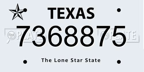 7368875 Texas License Plate