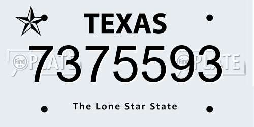 7375593 Texas License Plate