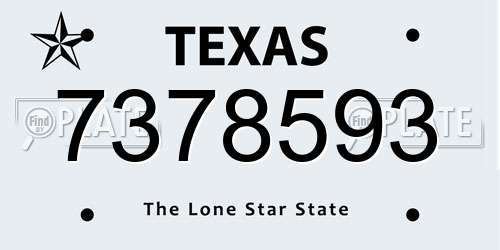 7378593 Texas License Plate