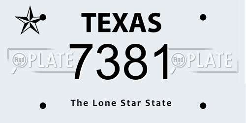 7381 Texas License Plate
