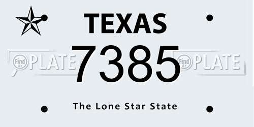 7385 Texas License Plate