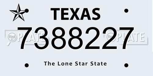 7388227 Texas License Plate