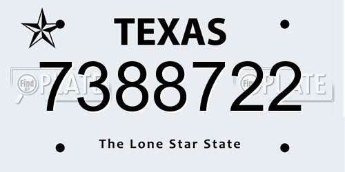 7388722 Texas License Plate