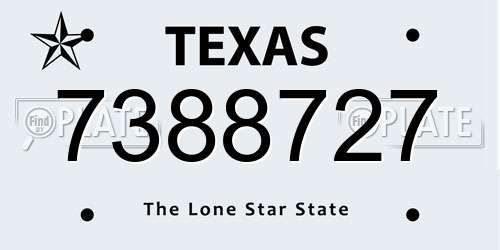 7388727 Texas License Plate