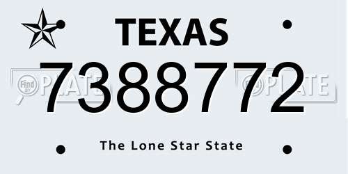 7388772 Texas License Plate
