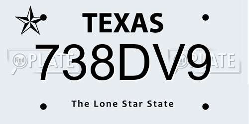 738DV9 Texas License Plate