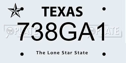 738GA1 Texas License Plate