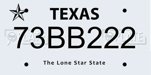 73BB222 Texas License Plate
