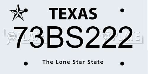 73BS222 Texas License Plate