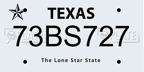 73BS727 Texas License Plate