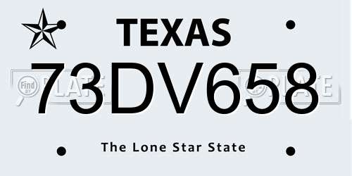 73DV658 Texas License Plate
