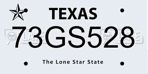 73GS528 Texas License Plate