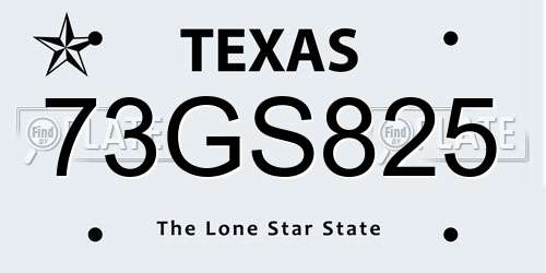 73GS825 Texas License Plate