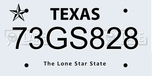 73GS828 Texas License Plate