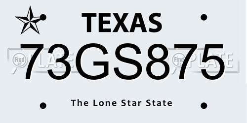 73GS875 Texas License Plate