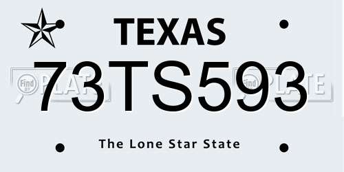 73TS593 Texas License Plate