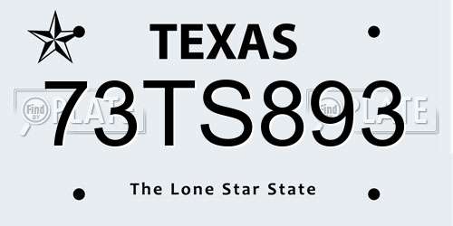 73TS893 Texas License Plate