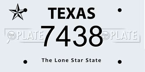 7438 Texas License Plate