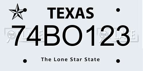 74BO123 Texas License Plate