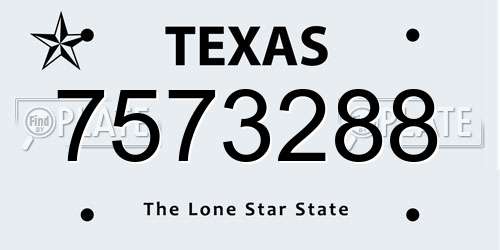 7573288 Texas License Plate