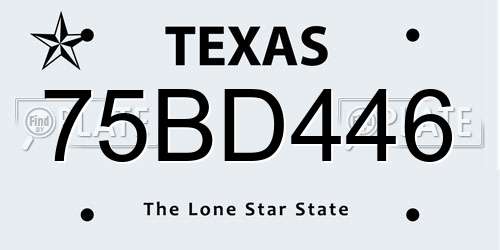 75BD446 Texas License Plate