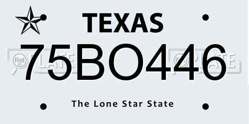 75BO446 Texas License Plate