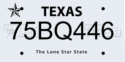 75BQ446 Texas License Plate
