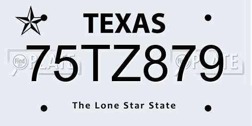 75TZ879 Texas License Plate