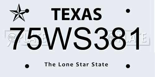 75WS381 Texas License Plate