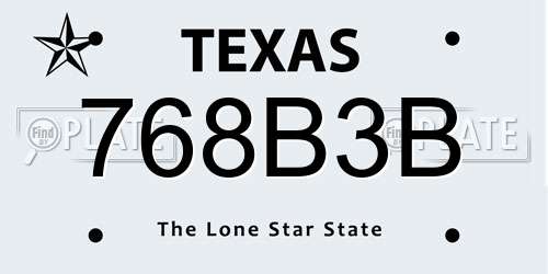768B3B Texas License Plate