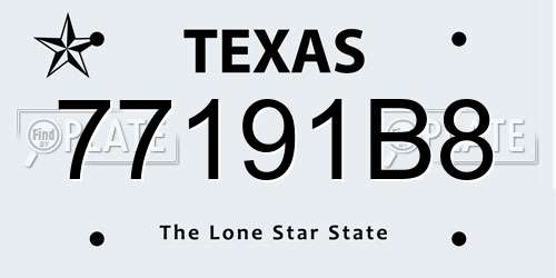77191B8 Texas License Plate