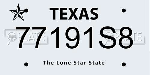 77191S8 Texas License Plate