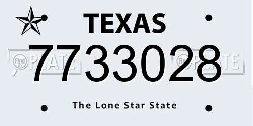 7733028 Texas License Plate