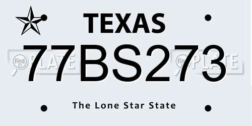 77BS273 Texas License Plate