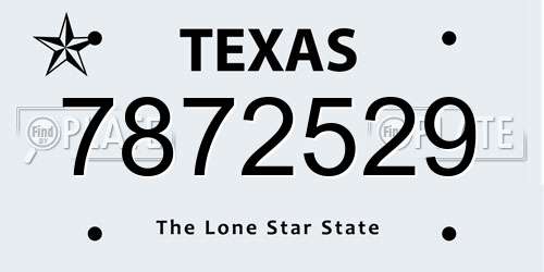 7872529 Texas License Plate