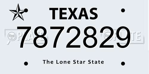 7872829 Texas License Plate