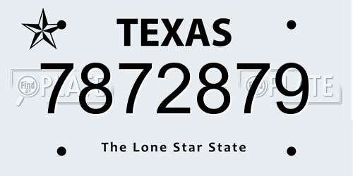 7872879 Texas License Plate