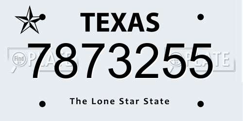 7873255 Texas License Plate