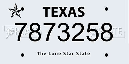7873258 Texas License Plate