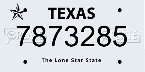 7873285 Texas License Plate