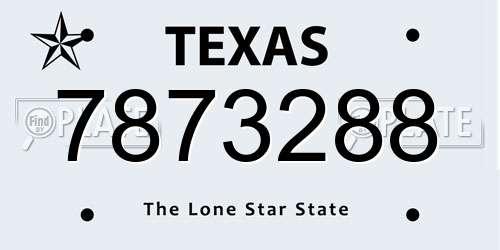 7873288 Texas License Plate