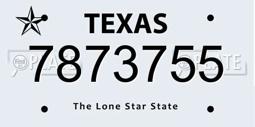 7873755 Texas License Plate