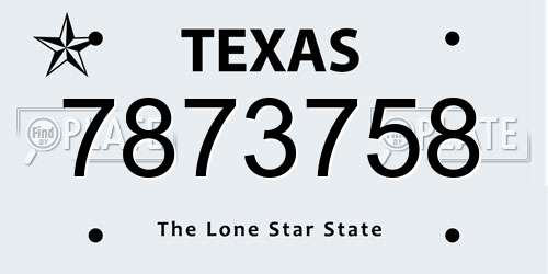 7873758 Texas License Plate